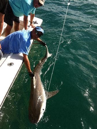 Highlight of spring break - Reviews, Photos - Ms. B. Haven Fishing &eco ...
