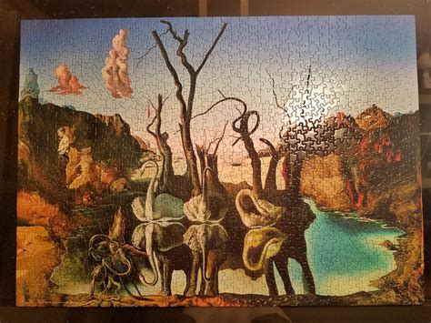 Swans Reflecting Elephants