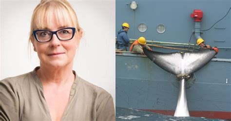 Commercial Whaling Is Thriving, Countries That Oppose It Don't Get Any ...
