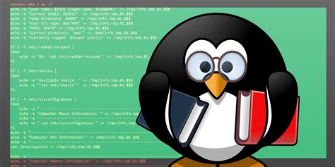 Update Files Shell Script Examples in Linux 的图像结果