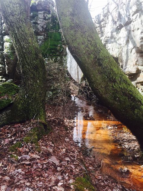 Horse Pen 40 - Steele, Alabama - Decas Group Property Management