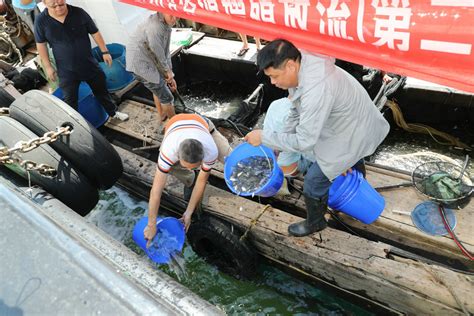 (2020)集团公司组织开展湛江港30万吨级航道改扩建工程海洋环境渔业资源增殖放流生态补偿（第二期第三次）活动