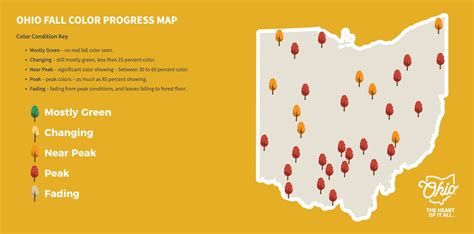 The best fall foliage in Ohio: ODNR map shows where colors are peaking