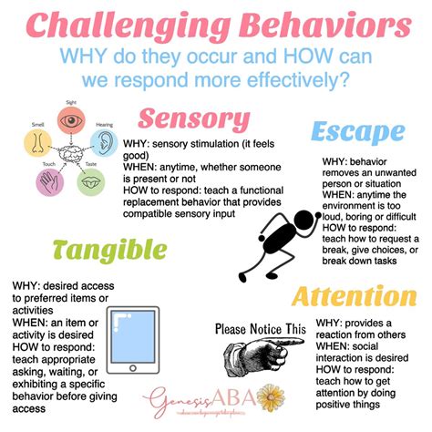 4 Functions of Behavior 💡 | Occupational therapy kids, Occupational ...