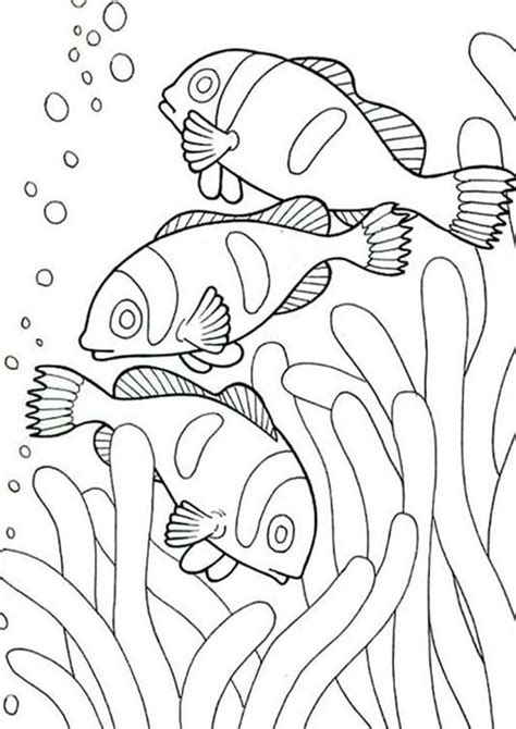 Free & Easy To Print Fish Coloring Pages | Fish coloring page, Easy ...