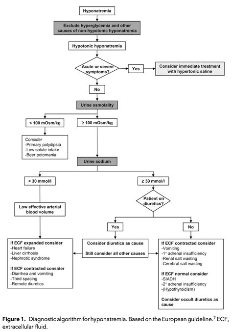 Hyponatremia Algorithm 的图像结果