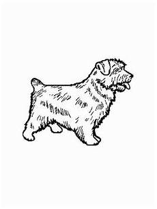 malvorlagen hunde gratis hund norfolk terrier ausmalbild malvorlage hunde malvorlagen hunde gratis hund norfolk terrier ausmalbild malvorlage hunde