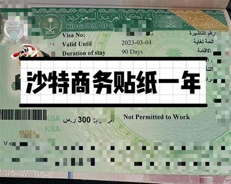沙特访问签证资料 沙特调整赴沙签证申请费用
