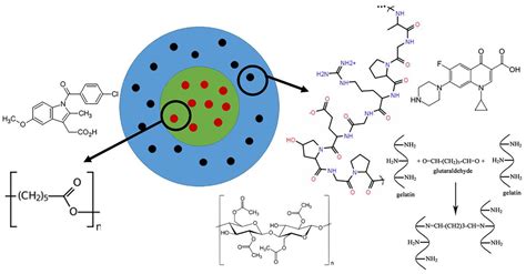 Cytocompatibility and Antibacterial Properties of Coaxial Electrospun ...