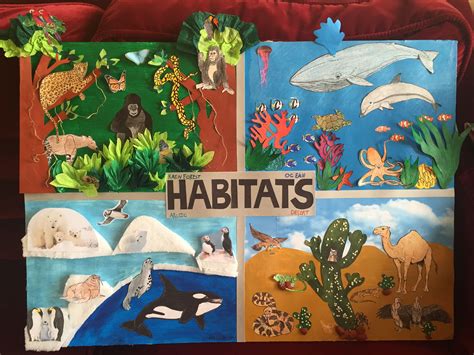 Animal Habitat | Animal habitats, Habitats projects, Habitat activities