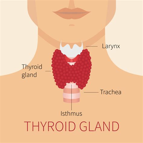 Thyroid Awareness Month - Israel Pharm