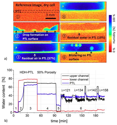 Influence of Stoichiometry on the Two-Phase Flow Behavior of Proton ...