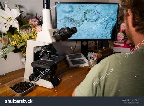 Veterinary Science Abbreviations: Over 1 Royalty-Free Licensable Stock Photos | Shutterstock