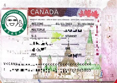 美国签证类型