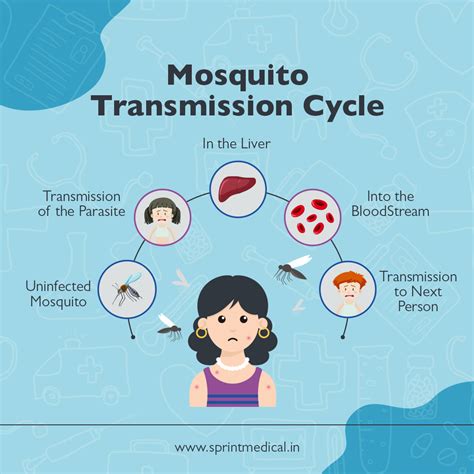 What Causes Malaria Disease