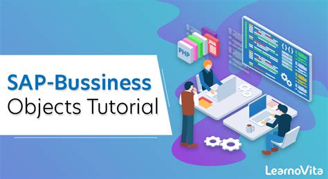 Business Objects Tutorial Video 的图像结果