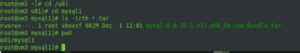Image result for How to Download MySQL Files On Linux