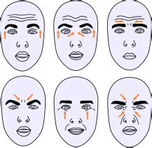 Microexpression 的图像结果