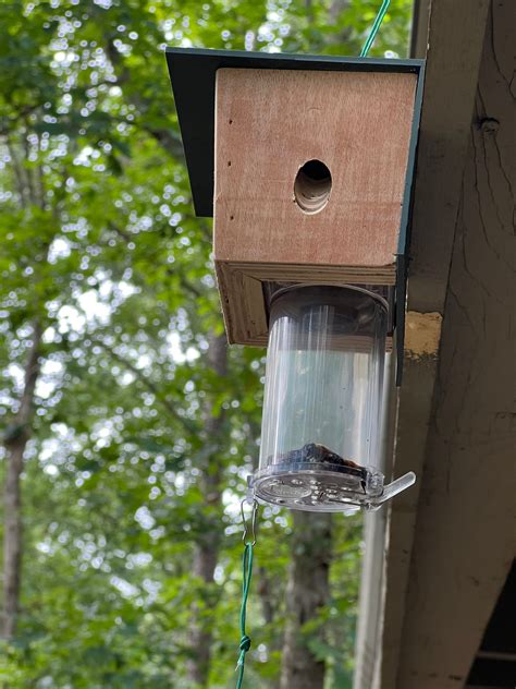Homemade Carpenter Bee Traps - Homemade Ftempo