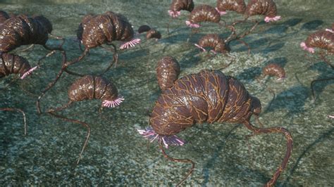 Image result for Alien Plant 3D Inseminate