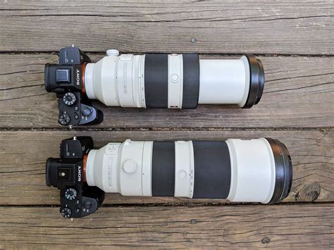 Sony 100-400 Extended vs 200-600 Lens – Colby Brown Photography