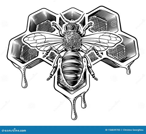 Honey Bumble Bee and Honeycomb Vintage Drawing Stock Vector ...