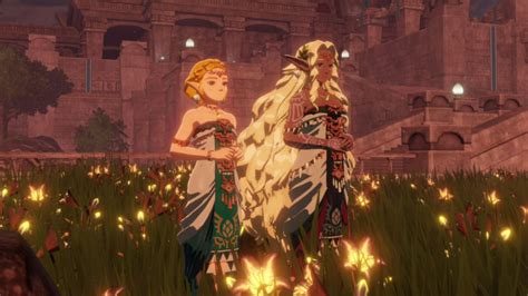 Why Sonia Isn’t Playable in Hyrule Warriors: Age of Imprisonment