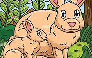 Image result for Mother Rabbit Feeding Babies