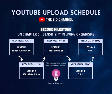 Bio Channel 的图像结果