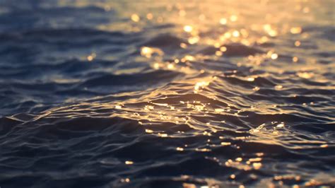 Image result for Lightwave Tutorial Water