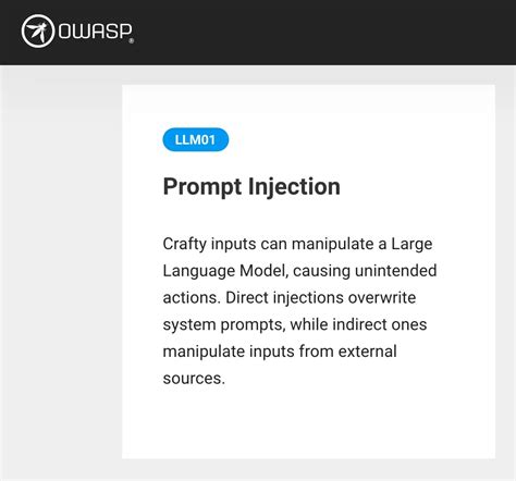 What Is Prompt Injection in Python 的图像结果
