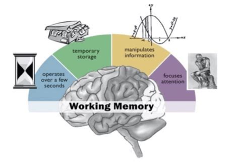 Image result for Transactive Memory Quizlet