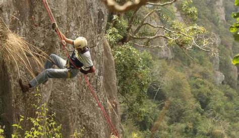 Tipperary Plantation Resorts | Yercaud, Tamil Nadu