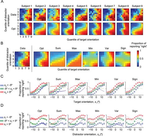 OPT Model Explained 的图像结果