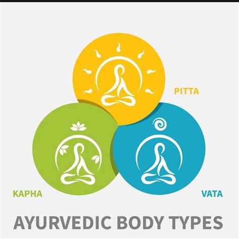 Ayurvedic Principles for Healing, 968 Route 73 S, Marlton, NJ, 9 ...