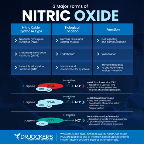 Nitric Oxide Benefits and How to Increase Levels - DrJockers.com