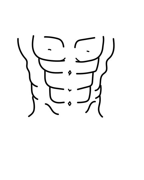 Image result for Draw Abs for Beginners
