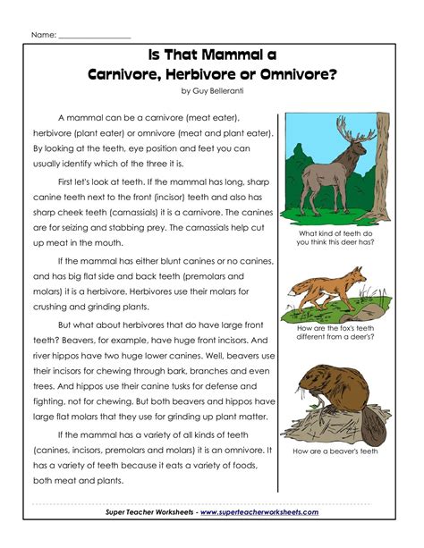 Herbivore Carnivore Omnivore Learn To Classify Animals: Herbivore,