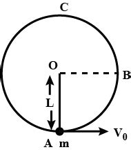 In vertical circular motion, the ratio of kinetic energy of a particle ...