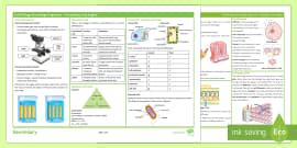 Cell Biology Posters Display Pack | Junior Cert