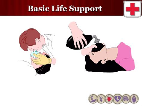 Image result for Basic Life Support Demonstration