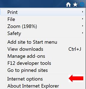 Image result for JavaScript Internet Options