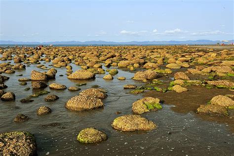Coral Zone (Saint Martin) 1