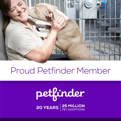 Partnerships - Desert Harbor Doberman Rescue of Arizona