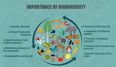 Biodiversity 的图像结果