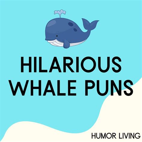 85+ Hilarious Whale Puns to Spout Laughter - Humor Living