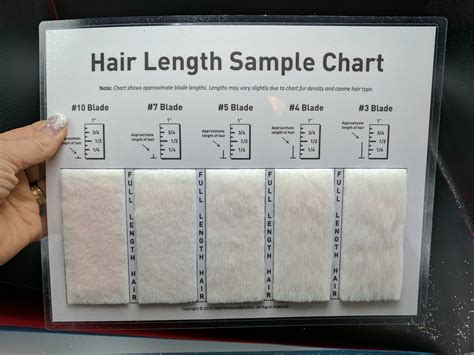 Clipper Guard Sizes Examples at Marcos Hines blog