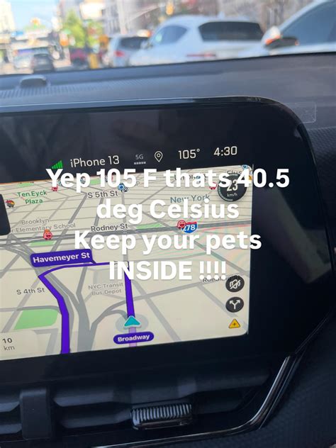 Wendy McCulloch (@kiwivetinnyc) • Instagram photos and videos