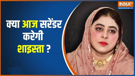 Shaista Parveen Latest News: आज प्रयागराज कोर्ट में सरेंडर कर सकती है ...