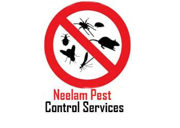 3 Best Pest Control Services in Dehradun, UK - Expert Recommendations